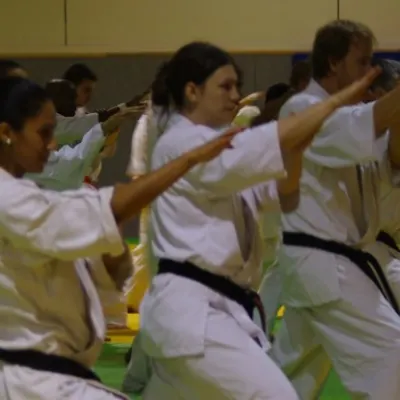 Stage avec Shihan André Gilbert 2012 — photo 55 sur 59