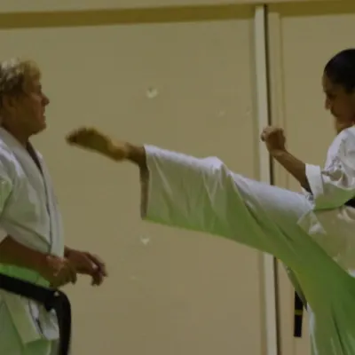 Stage avec Shihan André Gilbert 2012 — photo 56 sur 59