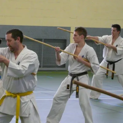 Stage avec Shihan Legrée à Bayeux 2011 — photo 7 sur 29