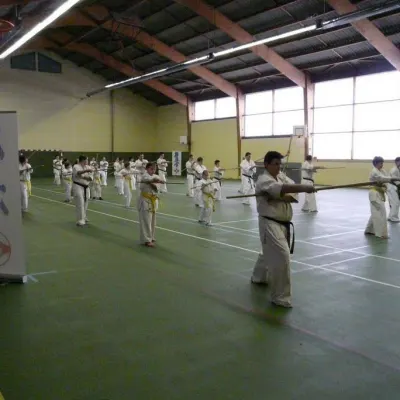 Stage avec Shihan Legrée à Bayeux 2011 — photo 10 sur 29