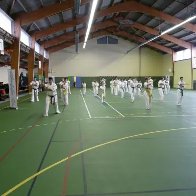 Stage avec Shihan Legrée à Bayeux 2011 — photo 11 sur 29