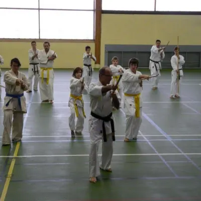 Stage avec Shihan Legrée à Bayeux 2011 — photo 12 sur 29