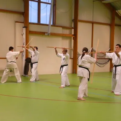 Stage avec Shihan Legrée à Bayeux 2011 — photo 19 sur 29