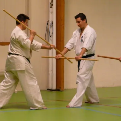 Stage avec Shihan Legrée à Bayeux 2011 — photo 20 sur 29