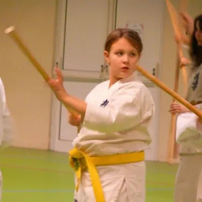 Stage avec Shihan Legrée à Bayeux 2011 — photo 25 sur 29