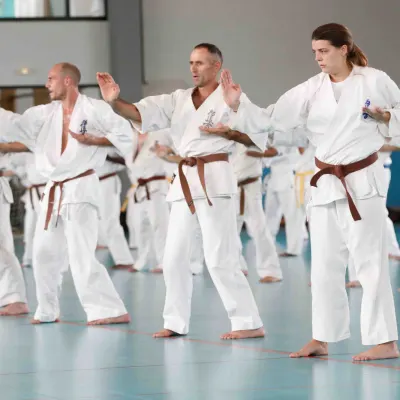 Stage France Kyokushin 2016 — photo 3 sur 13