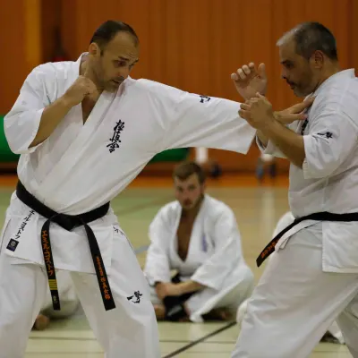Stage France Kyokushin 2016 — photo 6 sur 13