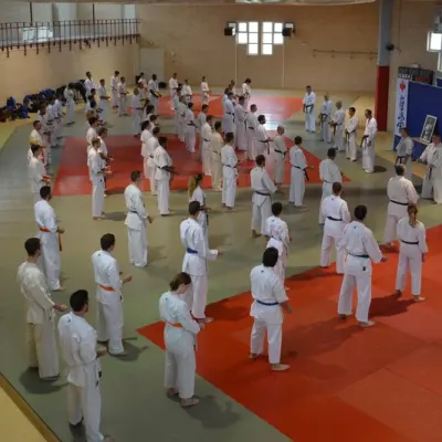 Stage Grand Sud 2014 — photo 10 sur 75