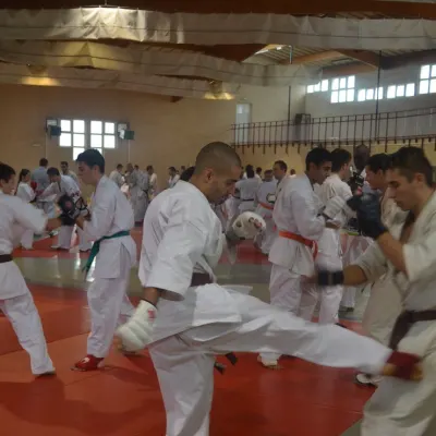 Stage Grand Sud 2014 — photo 50 sur 75