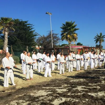 Stage Grand Sud 2015 — photo 48 sur 64