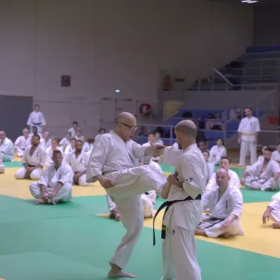 Stage international France Kyokushin 2024 — photo 30 sur 43