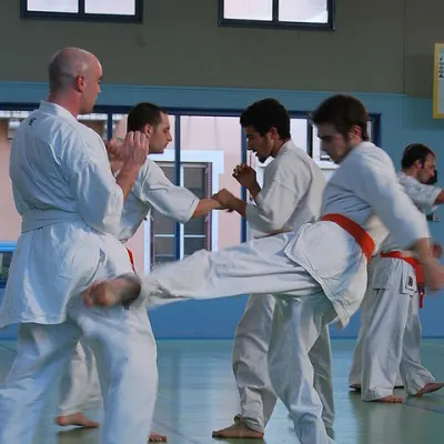 Stage kumité avec Baptiste Delaunay, Lyon 2010 — photo 1 sur 75