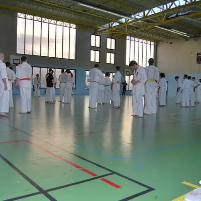 Stage kumité avec Baptiste Delaunay, Lyon 2010 — photo 3 sur 75