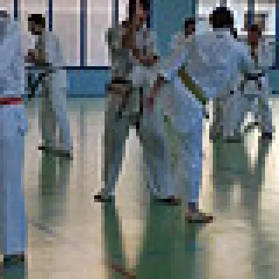 Stage kumité avec Baptiste Delaunay, Lyon 2010 — photo 4 sur 75