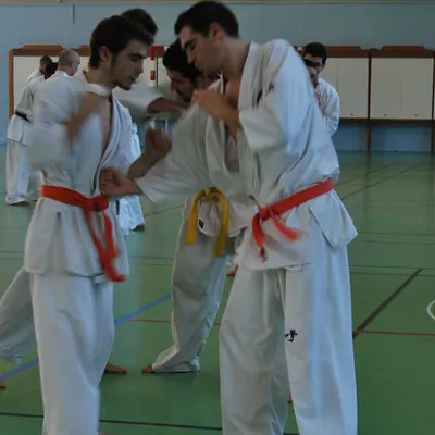 Stage kumité avec Baptiste Delaunay, Lyon 2010 — photo 8 sur 75