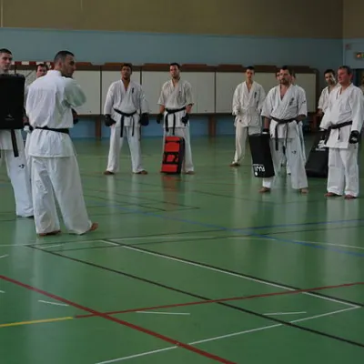 Stage kumité avec Baptiste Delaunay, Lyon 2010 — photo 10 sur 75