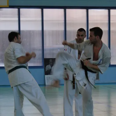 Stage kumité avec Baptiste Delaunay, Lyon 2010 — photo 18 sur 75