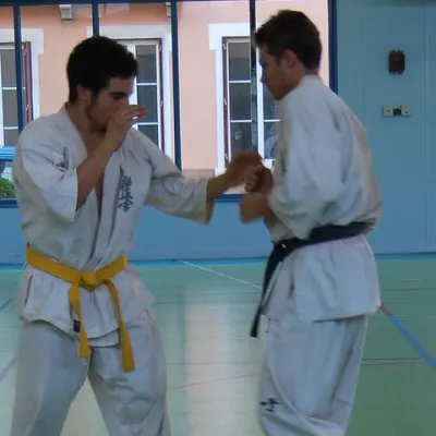 Stage kumité avec Baptiste Delaunay, Lyon 2010 — photo 20 sur 75