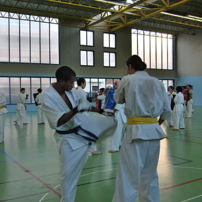 Stage kumité avec Baptiste Delaunay, Lyon 2010 — photo 25 sur 75