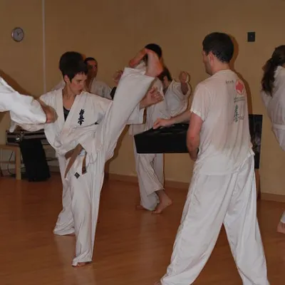 Stage kumité avec Baptiste Delaunay, Lyon 2010 — photo 48 sur 75