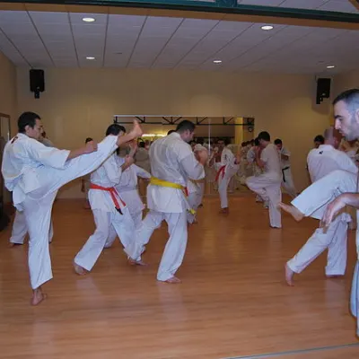 Stage kumité avec Baptiste Delaunay, Lyon 2010 — photo 52 sur 75
