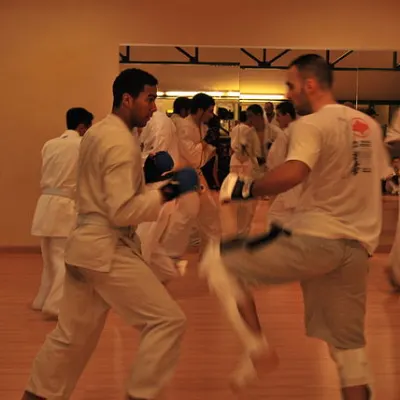 Stage kumité avec Baptiste Delaunay, Lyon 2010 — photo 62 sur 75