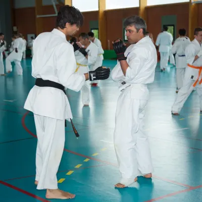 Stage national FK 2013 — photo 380 sur 424