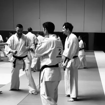 Stage national France Kyokushin 2019 — photo 4 sur 196