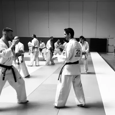 Stage national France Kyokushin 2019 — photo 23 sur 196