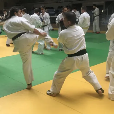 Stage national France Kyokushin 2019 — photo 32 sur 196