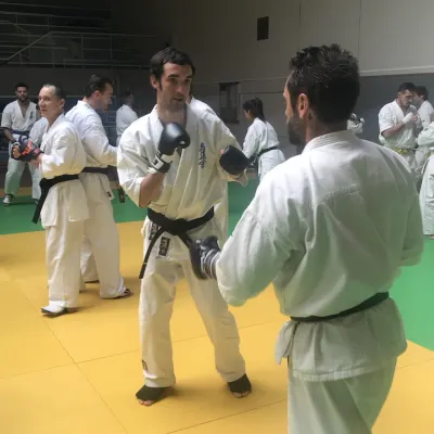 Stage national France Kyokushin 2019 — photo 35 sur 196