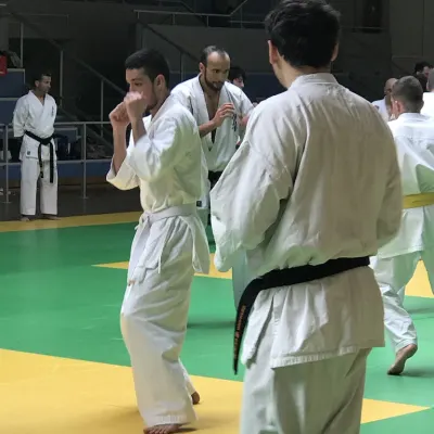 Stage national France Kyokushin 2019 — photo 94 sur 196