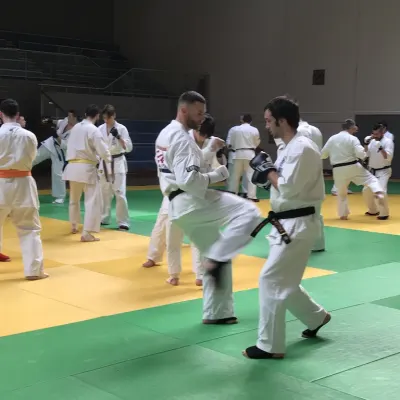 Stage national France Kyokushin 2019 — photo 160 sur 196