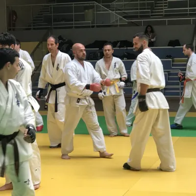 Stage national France Kyokushin 2019 — photo 169 sur 196