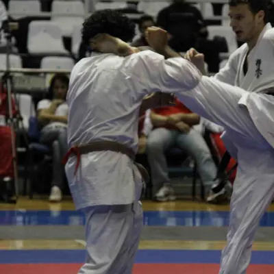 Tournoi Européen à Belgrade 2010 — photo 10 sur 19