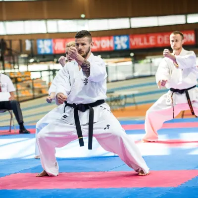 Tournoi Européen à Lyon 2017 — photo 1 sur 27