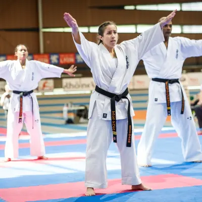 Tournoi Européen à Lyon 2017 — photo 3 sur 27