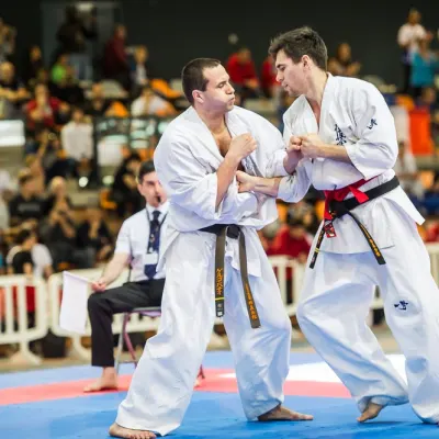 Tournoi Européen à Lyon 2017 — photo 8 sur 27
