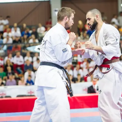 Tournoi Européen à Lyon 2017 — photo 9 sur 27