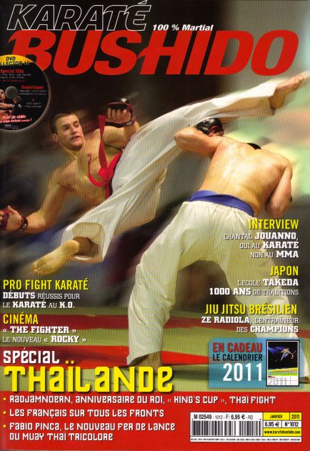 Maxime Demeautis, finaliste au premier championnat de Pro Fight karate