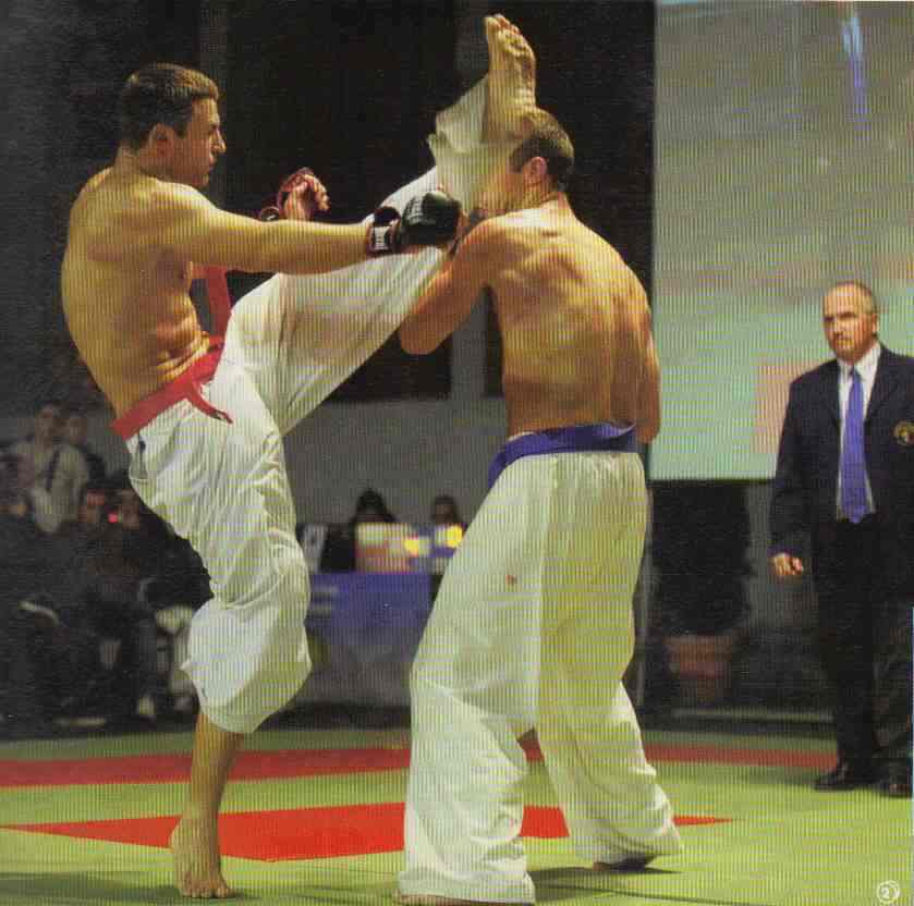 Karaté Bushido et France Kyokushin...