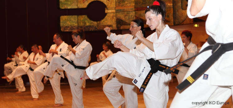 Passage de grade Mondial kyokushin, une première en France...