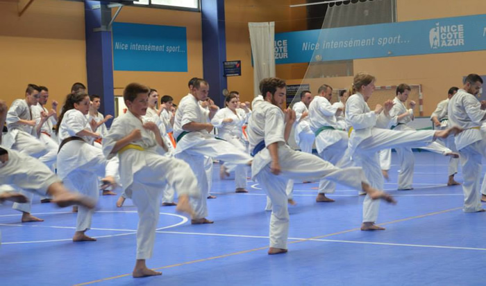 Passage de grade de karaté Kyokushinkai à Nice 2014