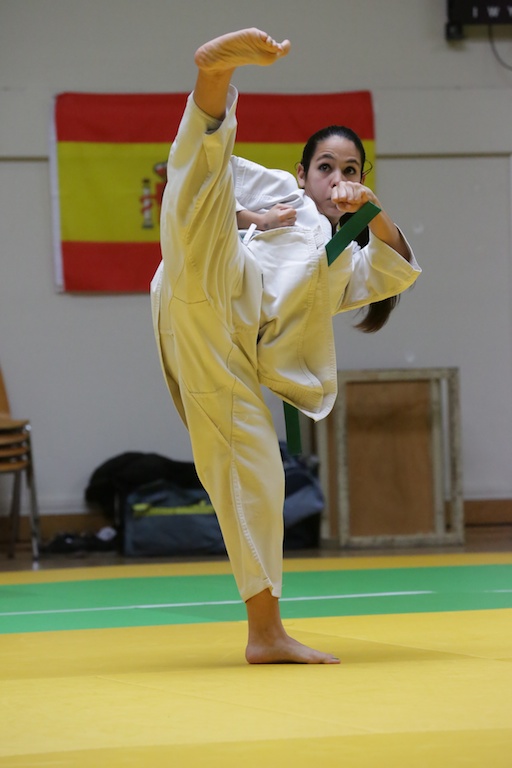 L'Open de Lyon 2013: Une réussite !!!!!!