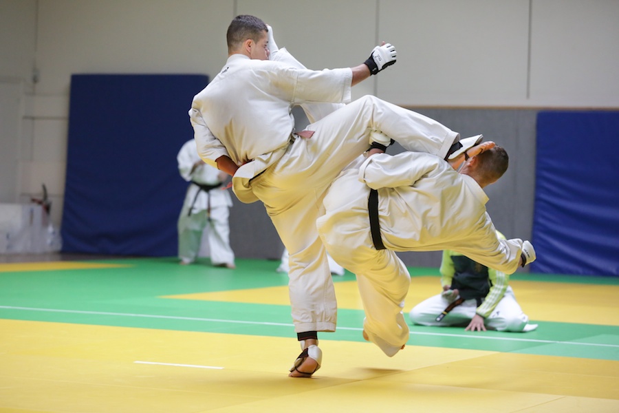 L'Open de Lyon 2013: Une réussite !!!!!!