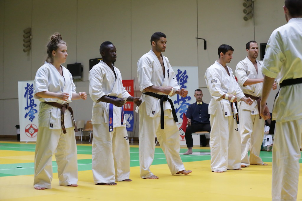 L'Open de Lyon 2013: Une réussite !!!!!!