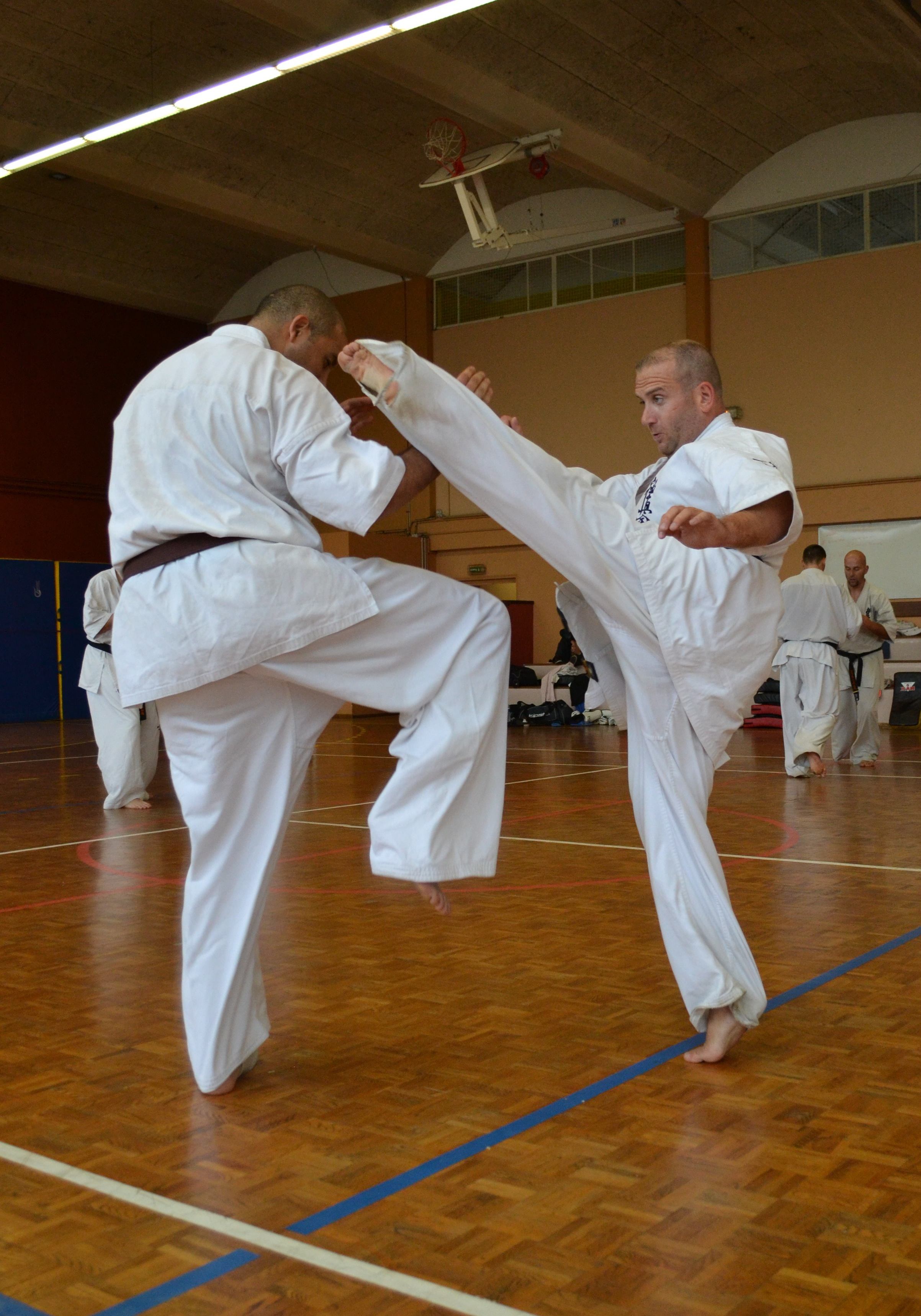 Stage Kumité "Pôle France Nord"