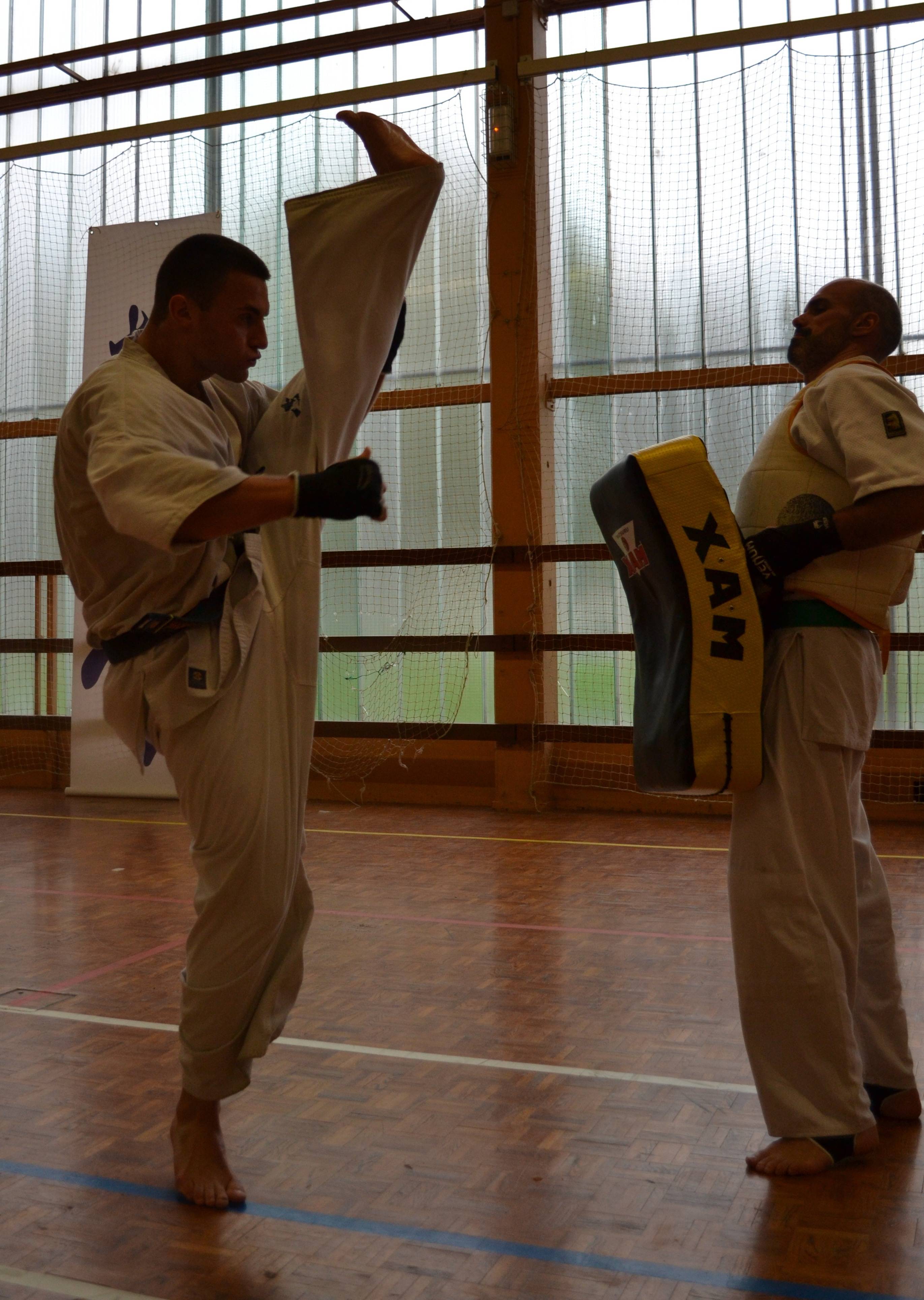 Stage Kumité "Pôle France Nord"