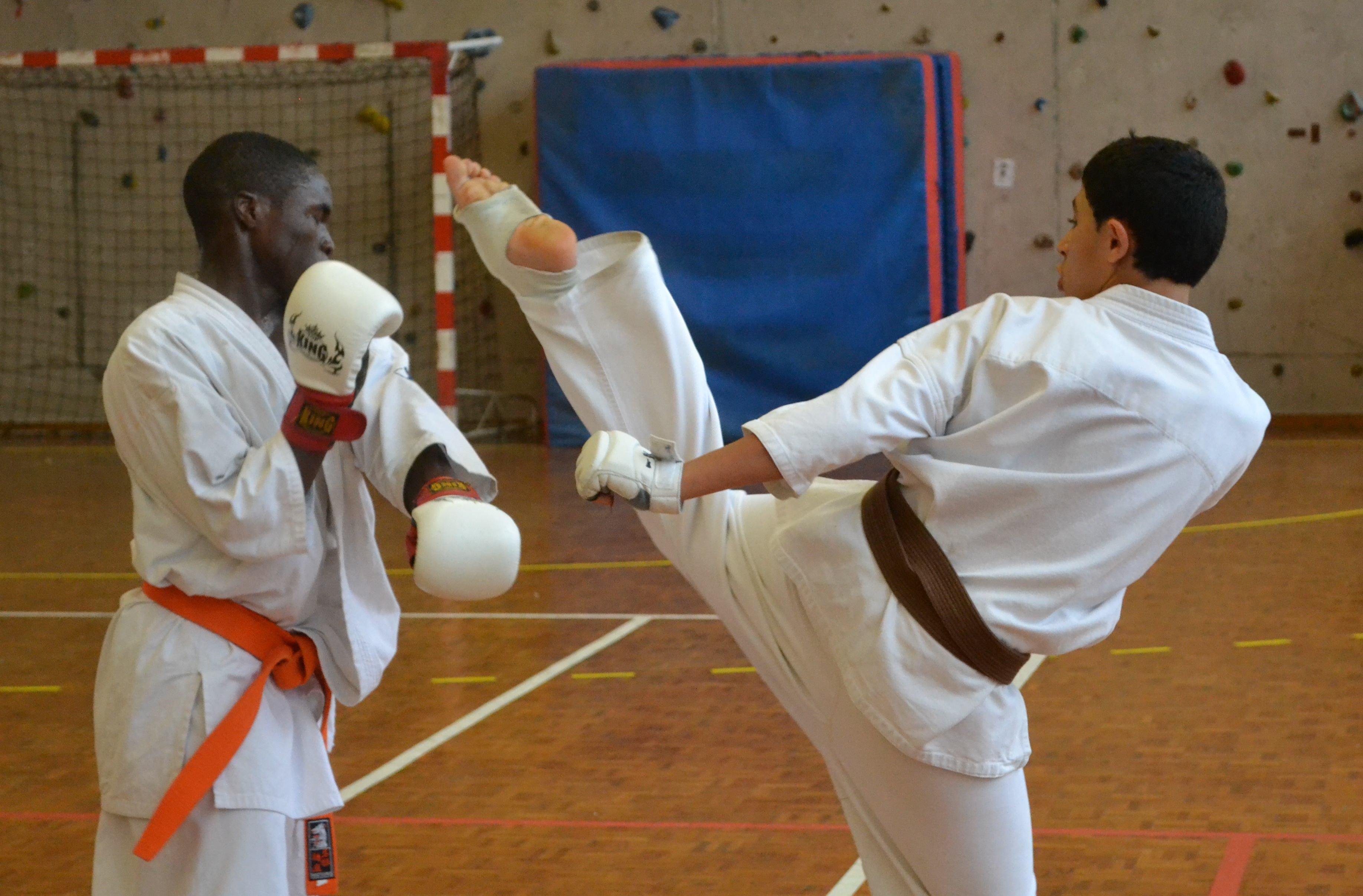Stage Kumité "Pôle France Nord"