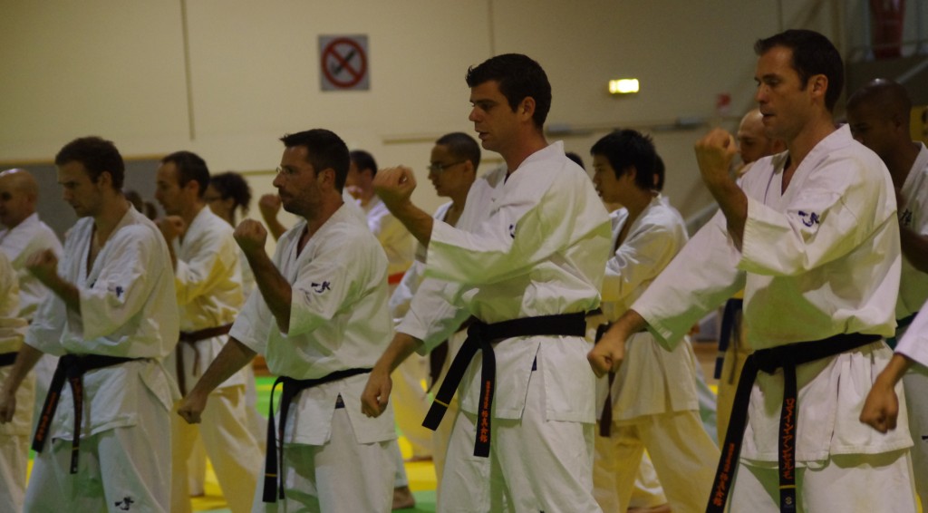 Stage exceptionnel avec Shihan André Gilbert